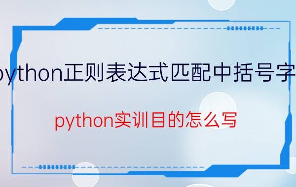 python正则表达式匹配中括号字符 python实训目的怎么写？